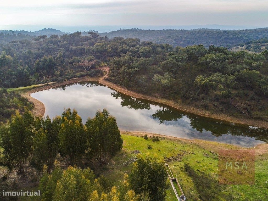 Herdade com 278 hectares em Portel, Evora