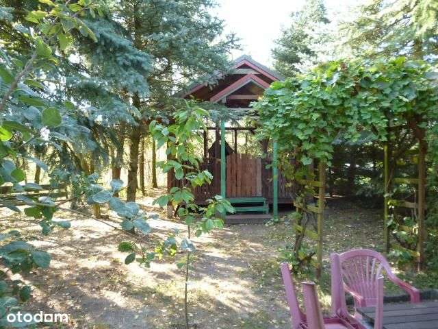 Do Sprzedania Posiadłośc W Narzymiu-13