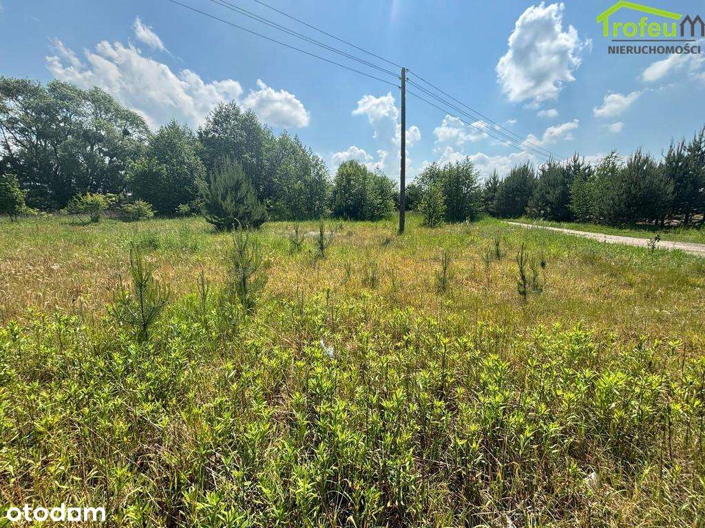 Działka budowlana o pow.4272m2, Turznice - Pełny obrazek: 3/8