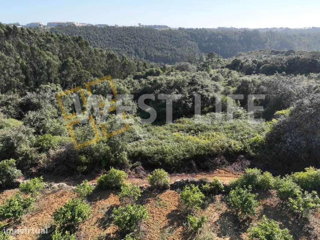 Terreno em Mafra - Terreno Rústico com 3562m2 localizado em Sobreiro - Grande imagem: 5/20