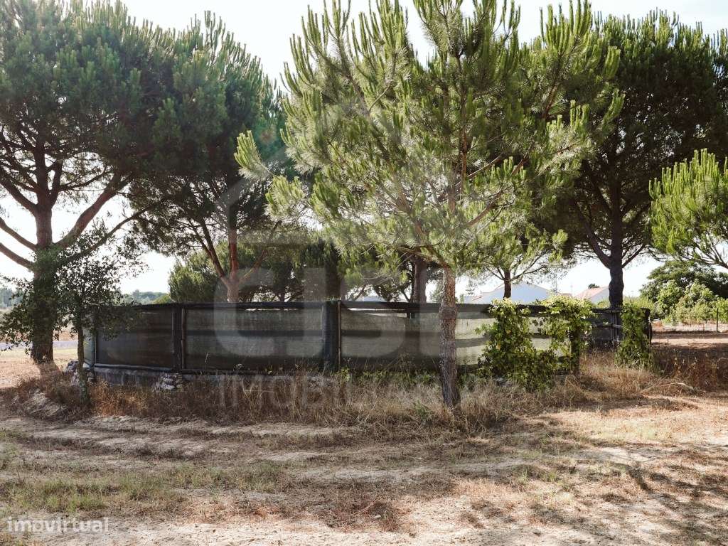 Quinta T5 na Branca-46