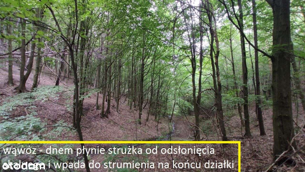 WIDOKOWA działka na WZGÓRZU z panoramą na Góry Św.-8