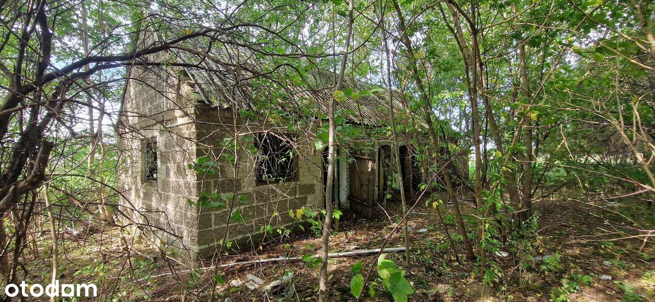 Atrakcyjna działka obok trasy Via Baltica - Pełny obrazek: 5/7