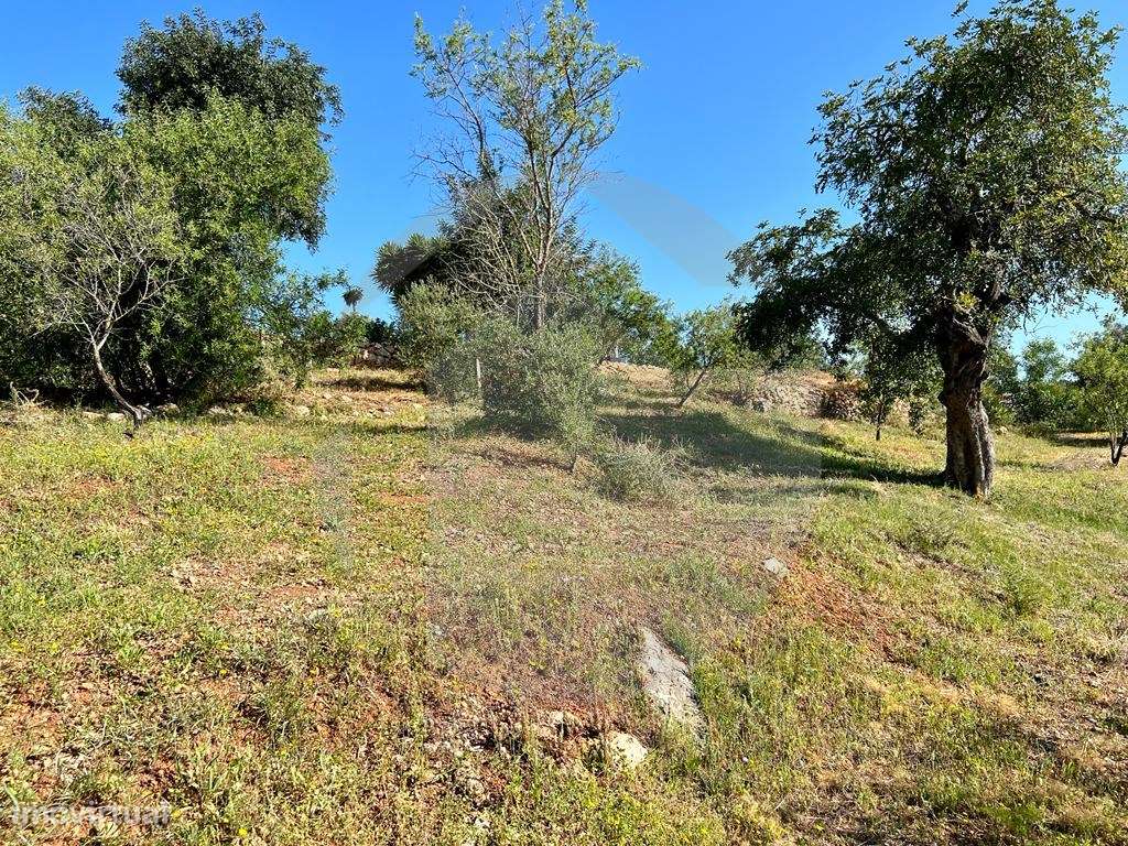 Terreno com Projeto Aprovado com Excelente Localização-12