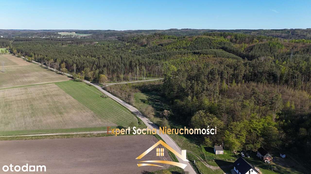 Oferuję działkę nr 69/6 położoną Laska 5100 m2 - Pełny obrazek: 5/6