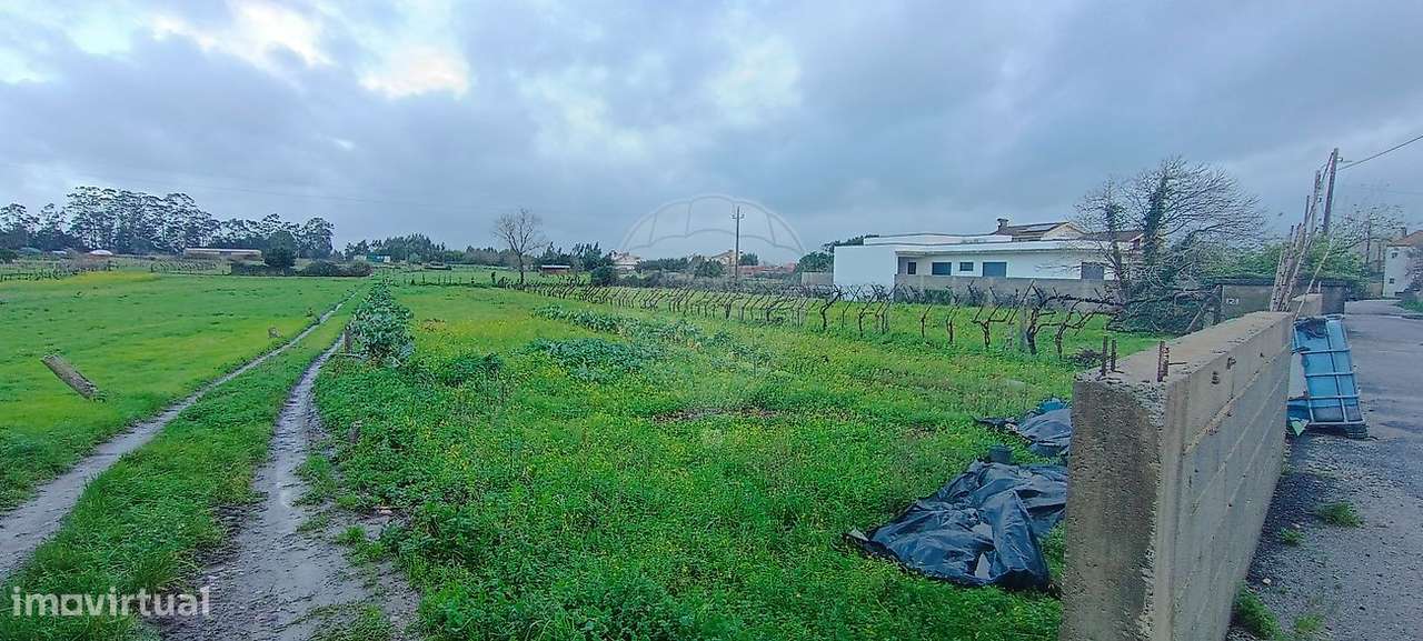 Terreno  para venda - Grande imagem: 3/5