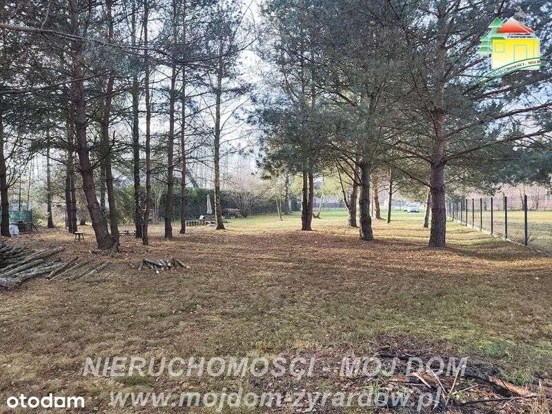 Polecamy działkę w Antoniewie. Warunki zabudowy w trakcie. - Pełny obrazek: 4/10