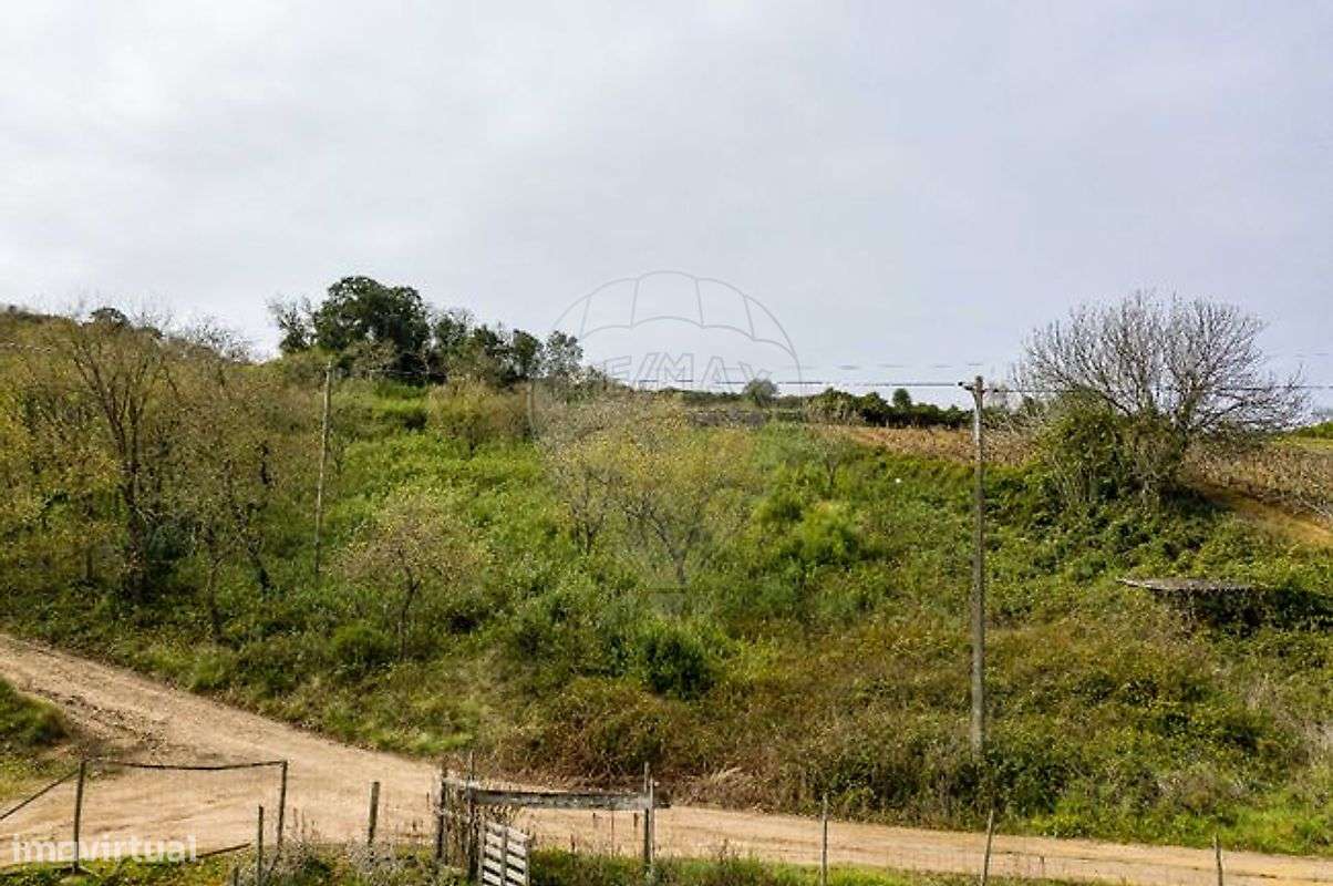 Terreno  para venda-10