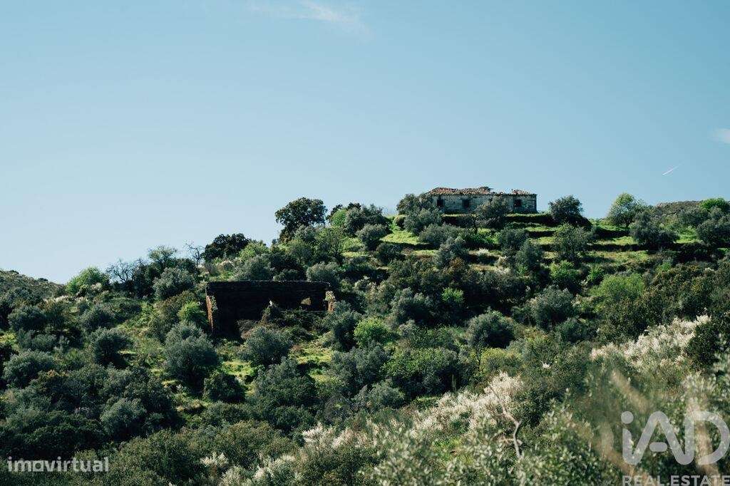 Quinta em Chãs - Grande imagem: 5/40