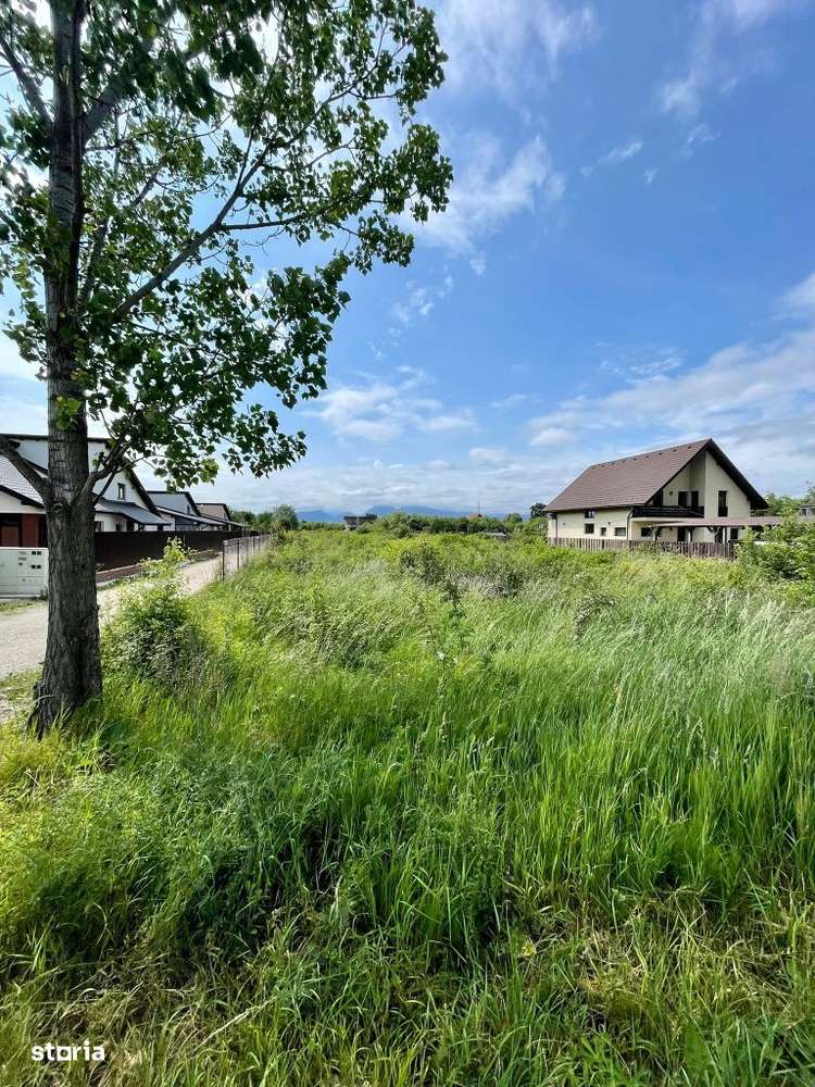 Teren Sanpetru - Imagine principală: 1/3