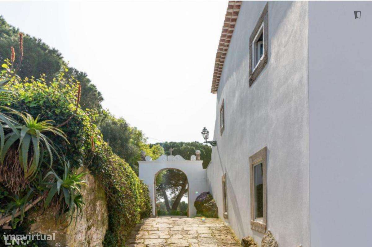 Casa com 5 quartos - localizado em Intendente Lisbon - Grande imagem: 5/7