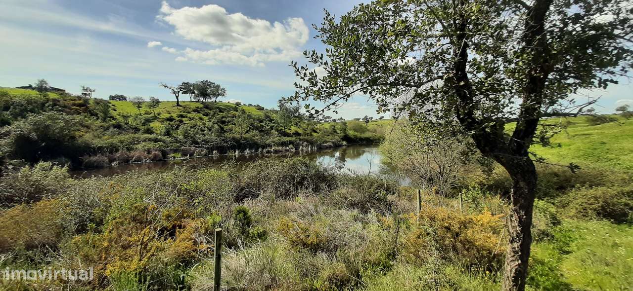 Alcácer do Sal - Herdade 115ha - Grande imagem: 5/17
