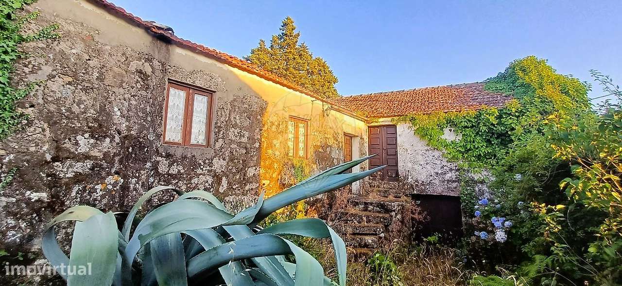 Quinta T10 para venda - Grande imagem: 4/22