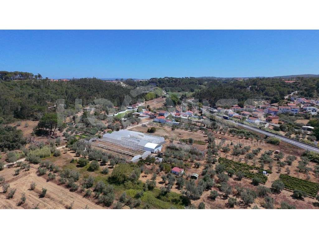 Terreno Agrícola com Estufas Preparadas para Produção em Hidroponia...-6