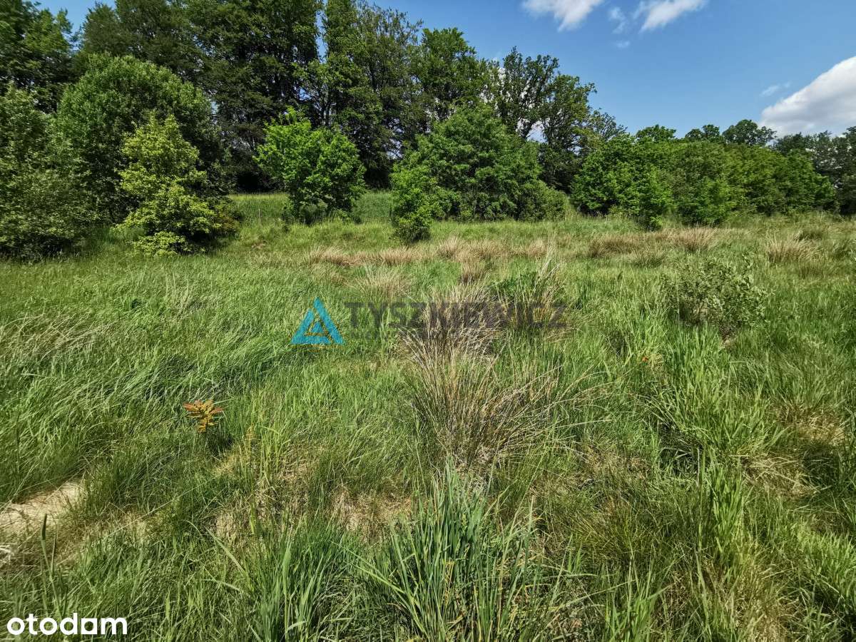 Urokliwa działka budowlana w sąsiedztwie rzeki! - Pełny obrazek: 4/20