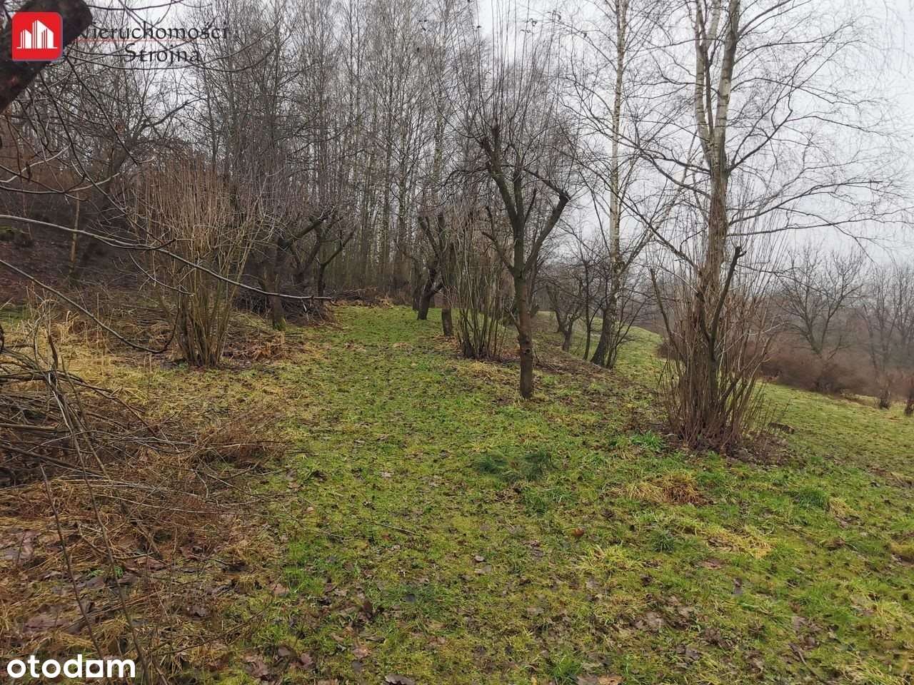 Działki budowlane- Golkowice (od 10a do 15a) - Pełny obrazek: 4/9