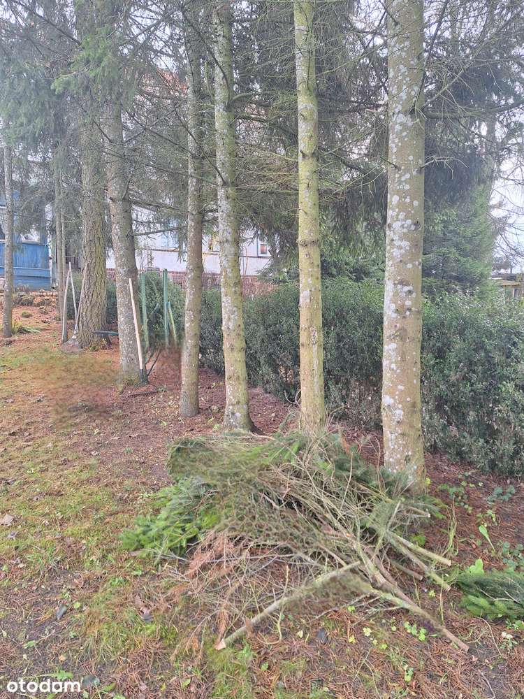 Klimatyczna nieruchomość w Brożówce.-7