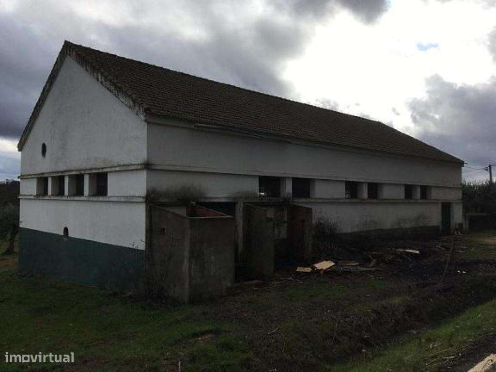 Armazém - até 100% Financiamento - Grande imagem: 5/5