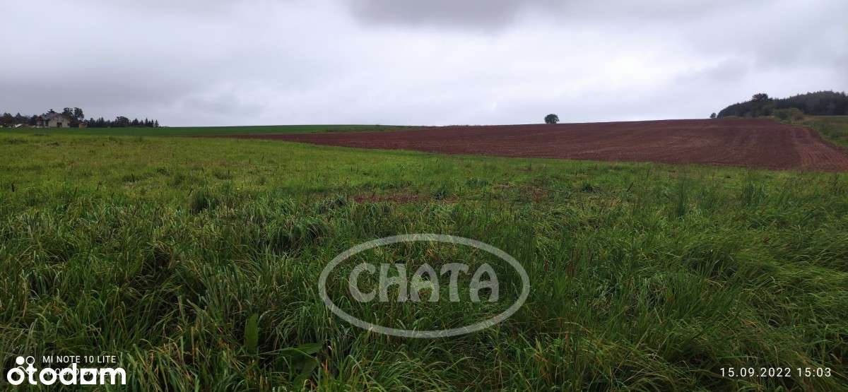 Działka budowlana w Radkowie - Pełny obrazek: 5/5