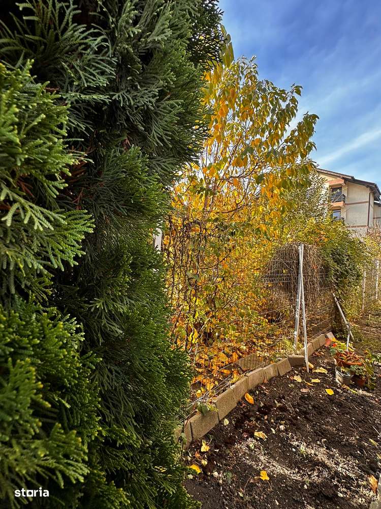 Apartament cu doua camere in zona Coresi-IN EXCLUSIVITATE-17