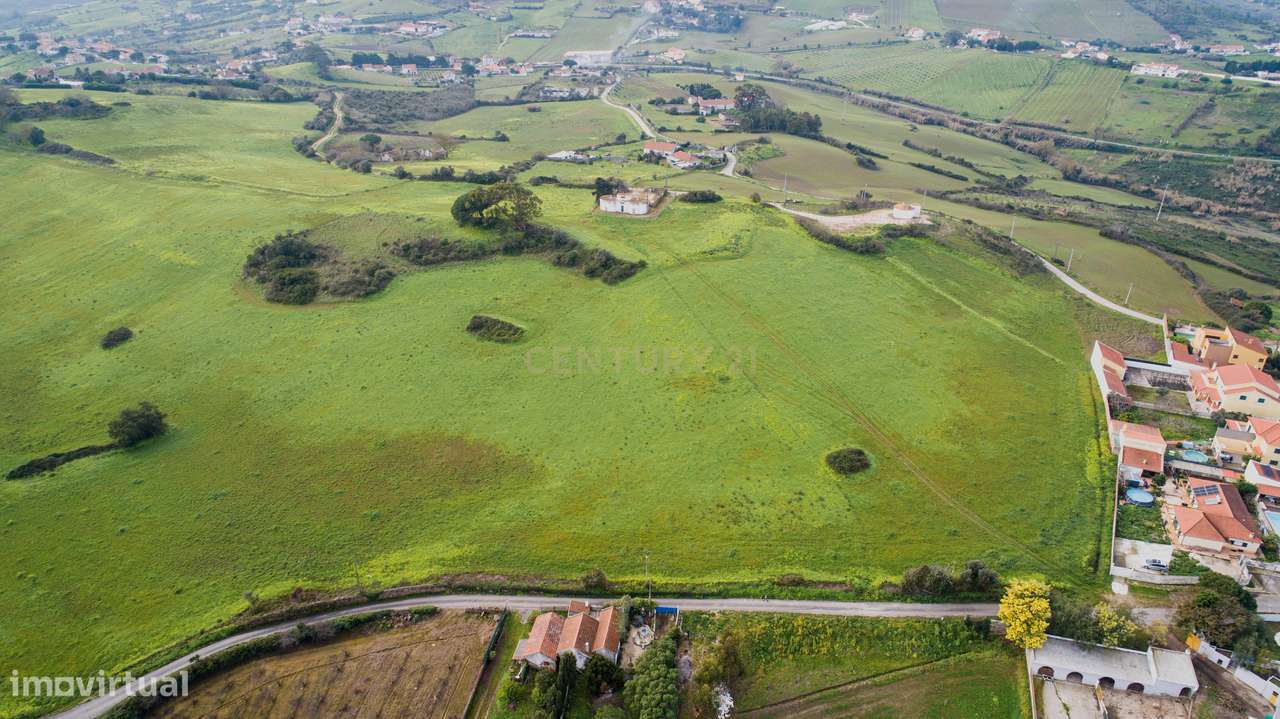 Quinta - 25 hectares-5