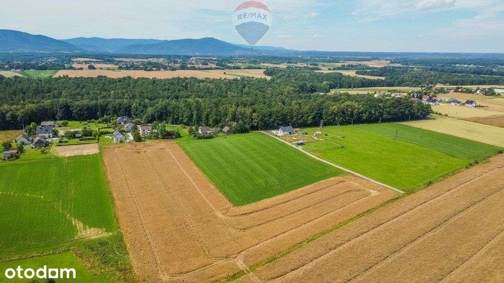 Na Sprzedaż Działka Nidek - Pełny obrazek: 5/10
