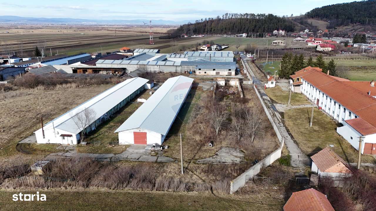 Teren industrial 1.729 mp I Demolare + construcție hală Teliu-10