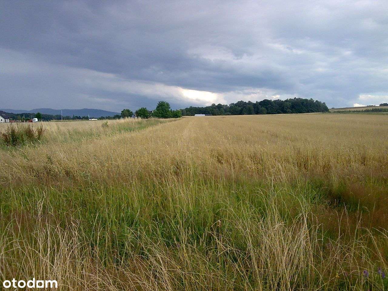 Wlasciciel - dzialka rolna w Mazancowicach - 31 ar - Pełny obrazek: 4/6