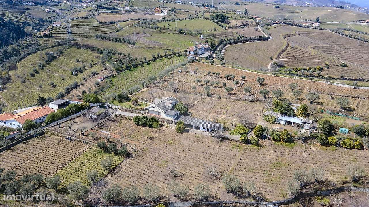 Quinta  para venda - Grande imagem: 4/37