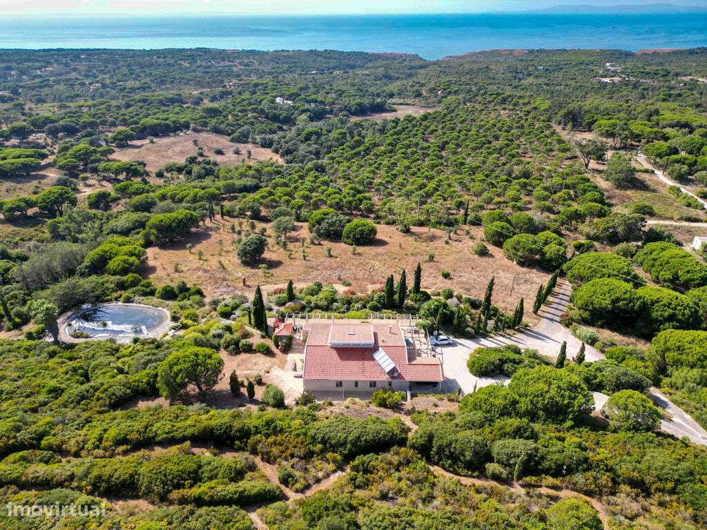 Venda Moradia - Grande imagem: 4/60