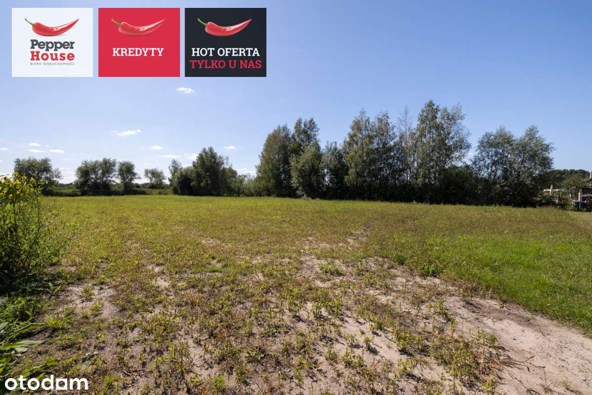 działki w otoczeniu lasu – 1,5 km od plaży - Pełny obrazek: 4/8