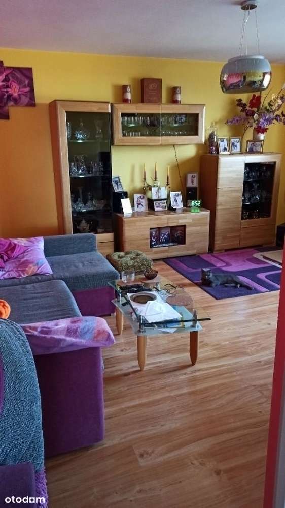 Mieszkanie z pięknym widokiem. - Pełny obrazek: 5/15