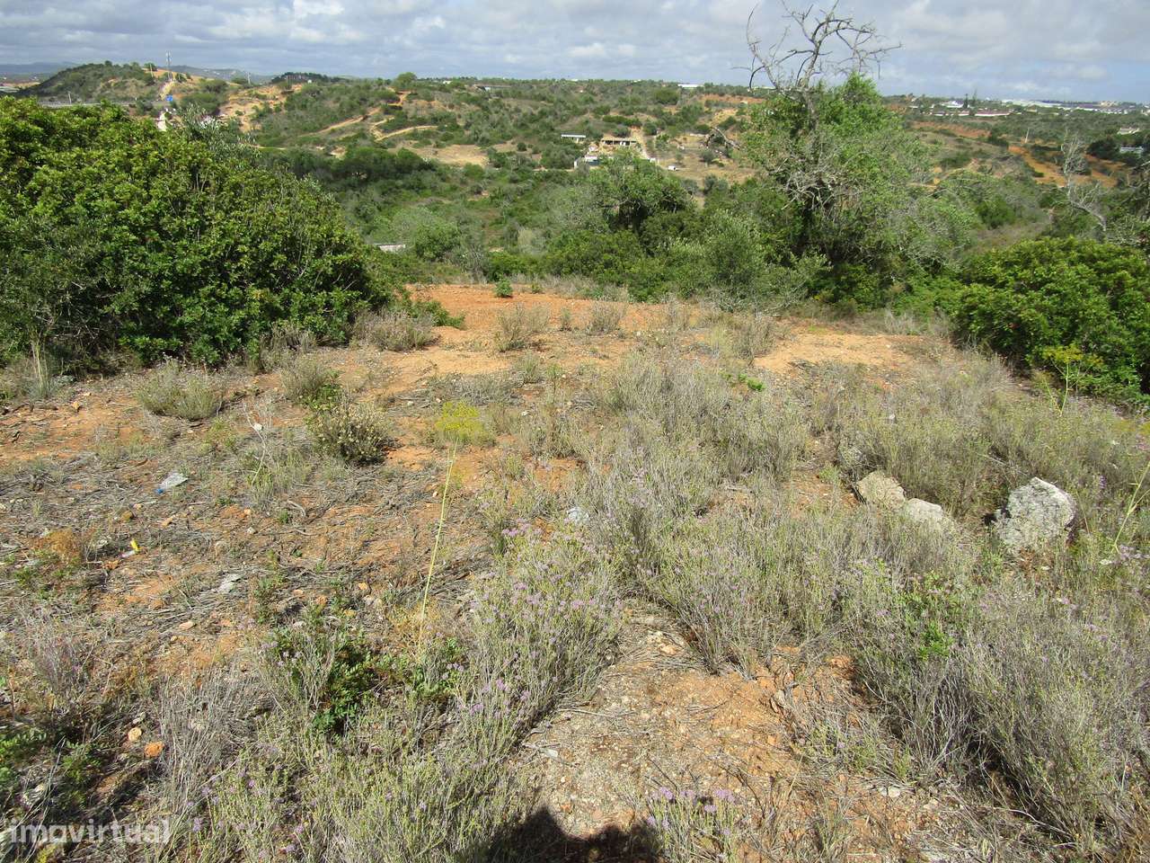 Terreno Misto com 15400m2 - Vales de Pêra - Grande imagem: 5/11