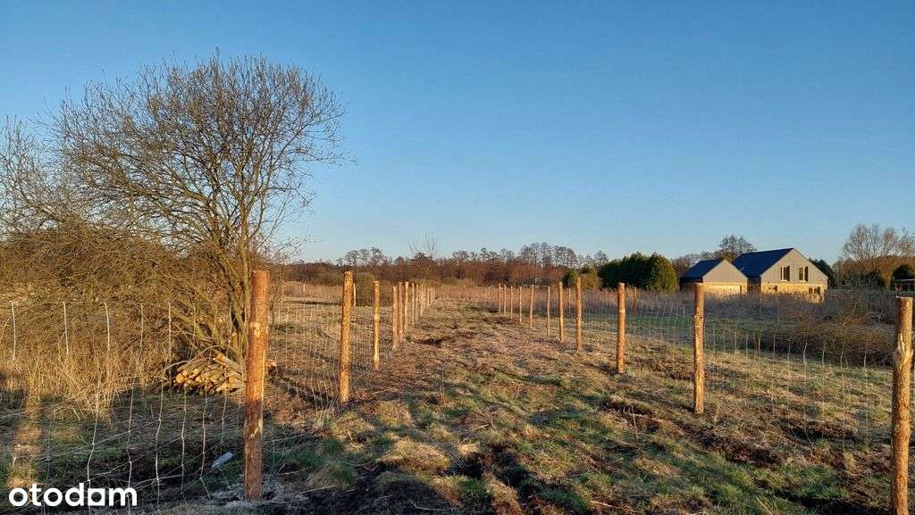 Działka budowlana w Wielgowie-1
