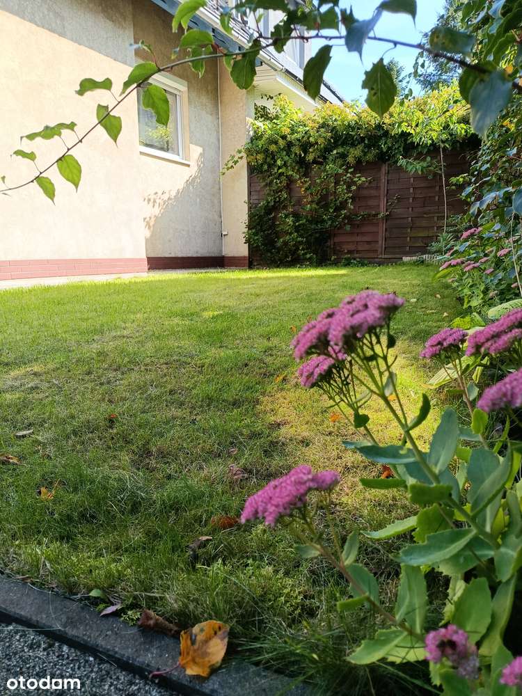 Dom nad morzem z wyposażeniem - Pełny obrazek: 4/17