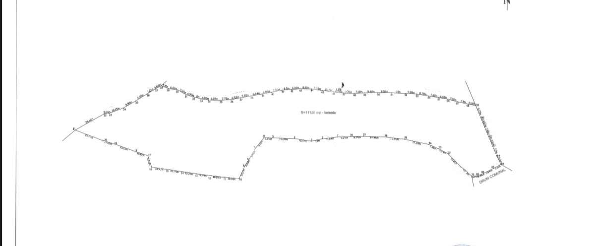 Teren intravilan de vanzare – 11.136 mp | ALBAC | CU POSIBILITATE DE - Imagine principală: 2/3