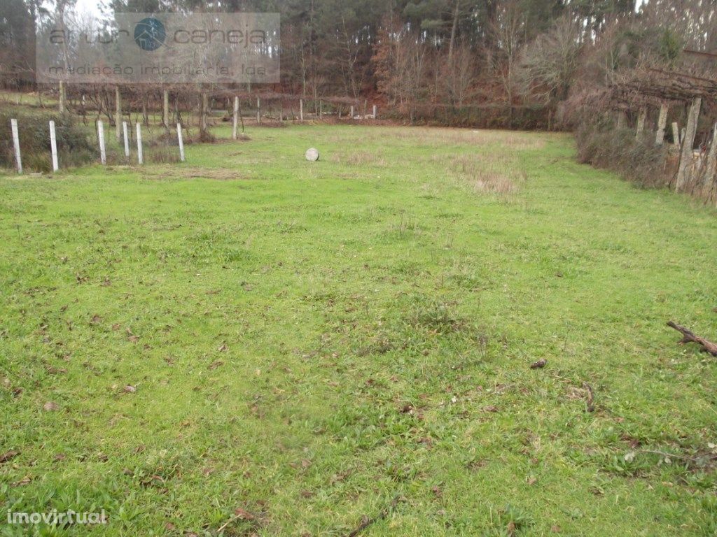 Terreno Venda Arcos de Valdevez