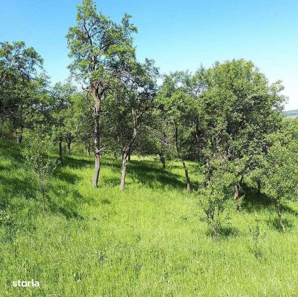 Vand case si terenuri la tara - Imagine principală: 4/7