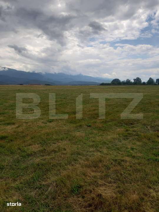 Teren extravilan 8600 mp, Cartisoara- Coasta lui Nache - Imagine principală: 4/4