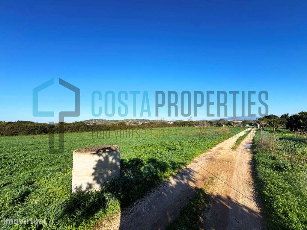 Terreno Rústico com 6.120 m² - Cultura Arvense de Regadio | Odiáxere - Grande imagem: 4/12