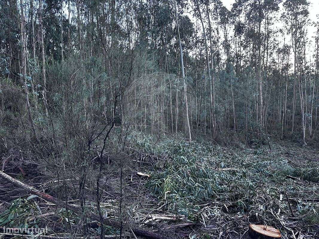 Terreno  para venda - Grande imagem: 4/24