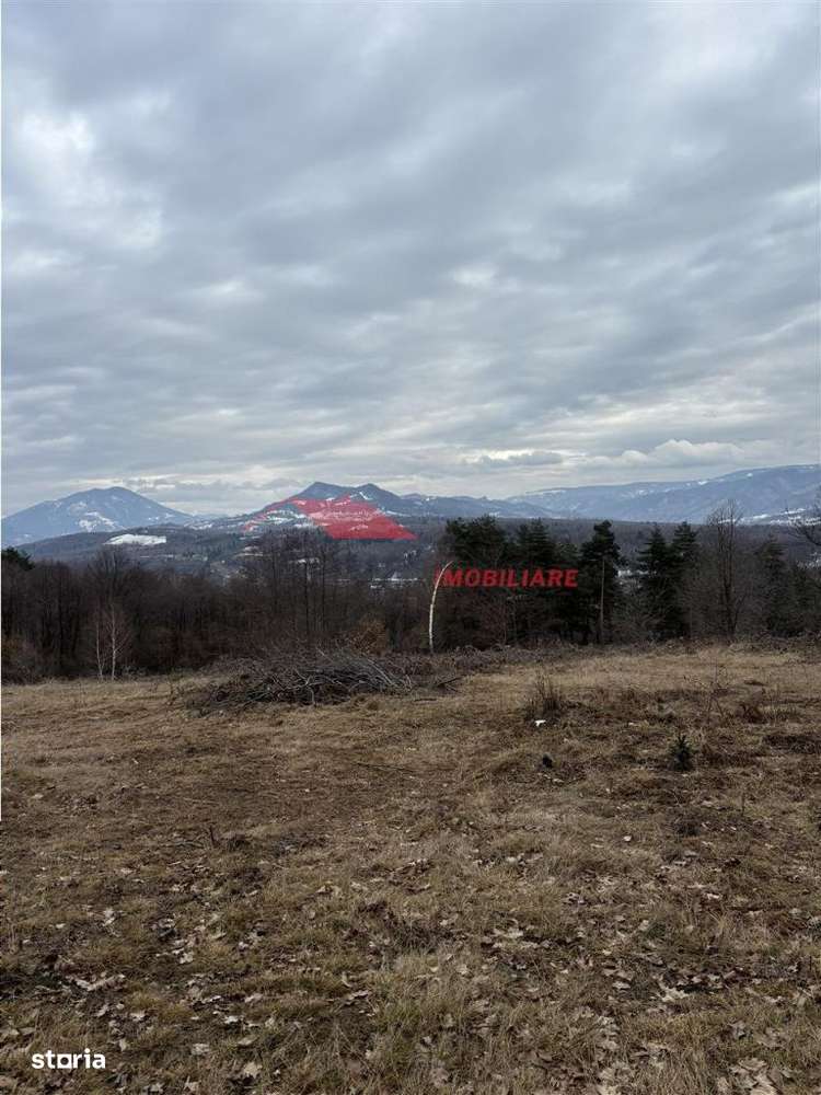 Teren cu 2 izvoare,  Prundul Bargaului - Imagine principală: 1/10