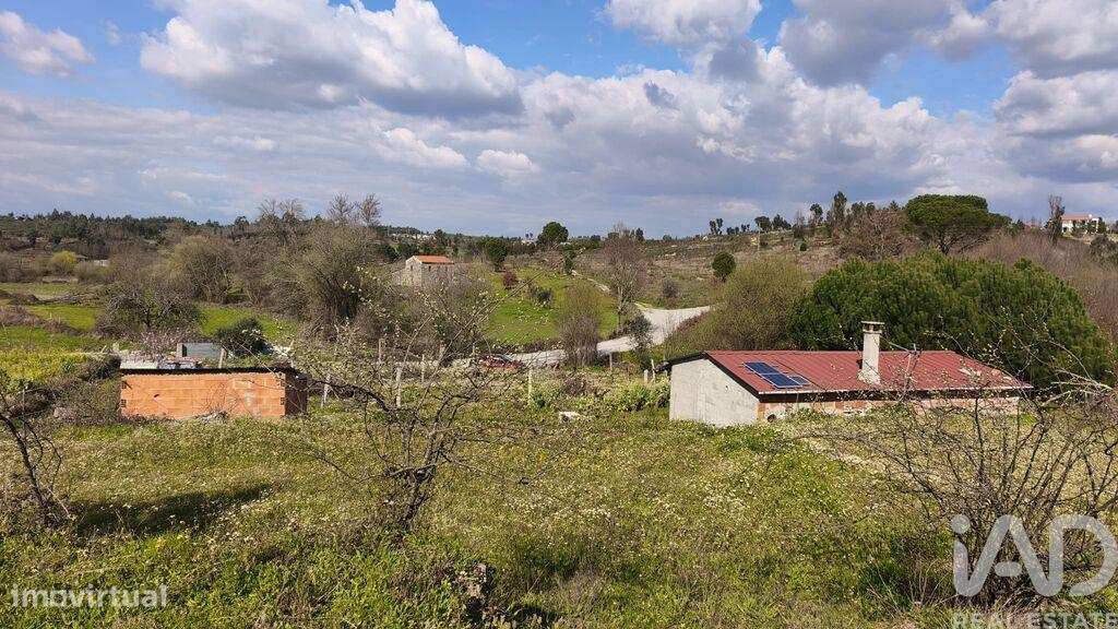 Terreno Agrícola em Seixo da Beira - Grande imagem: 5/22