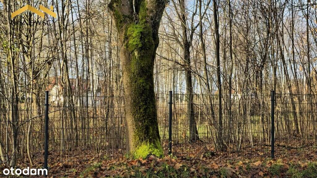 Dawidy: działka z WZ, 3001 m² - Pełny obrazek: 4/18