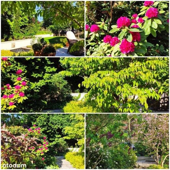 Dom, 220 m², Szczecin-18