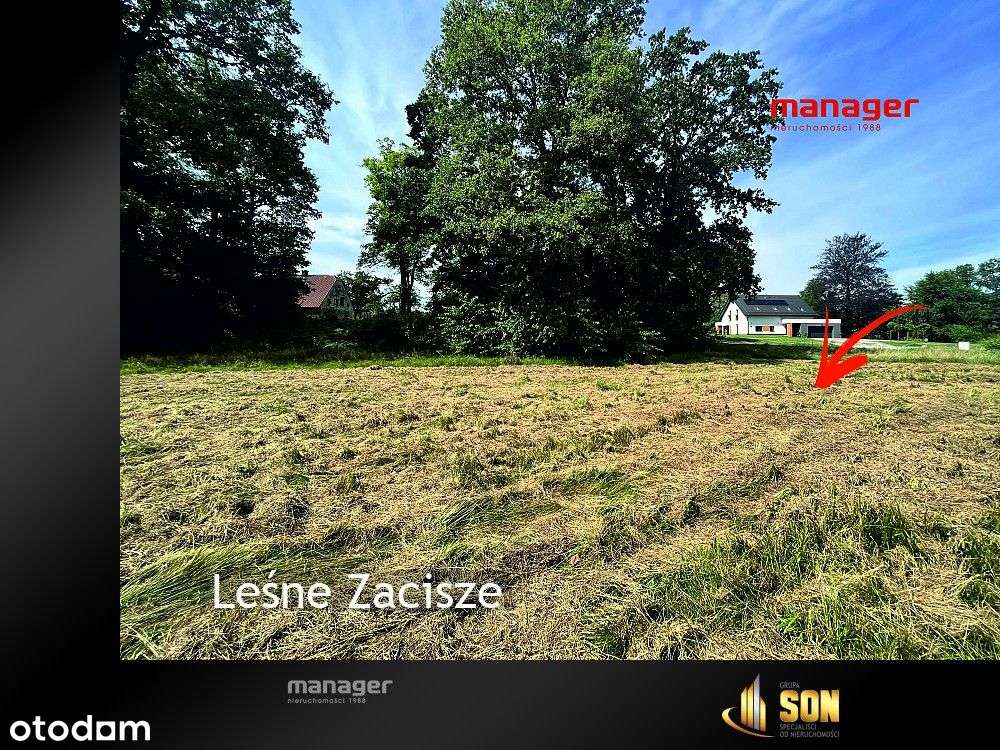 Działka, 2 112 m², Rudy-8