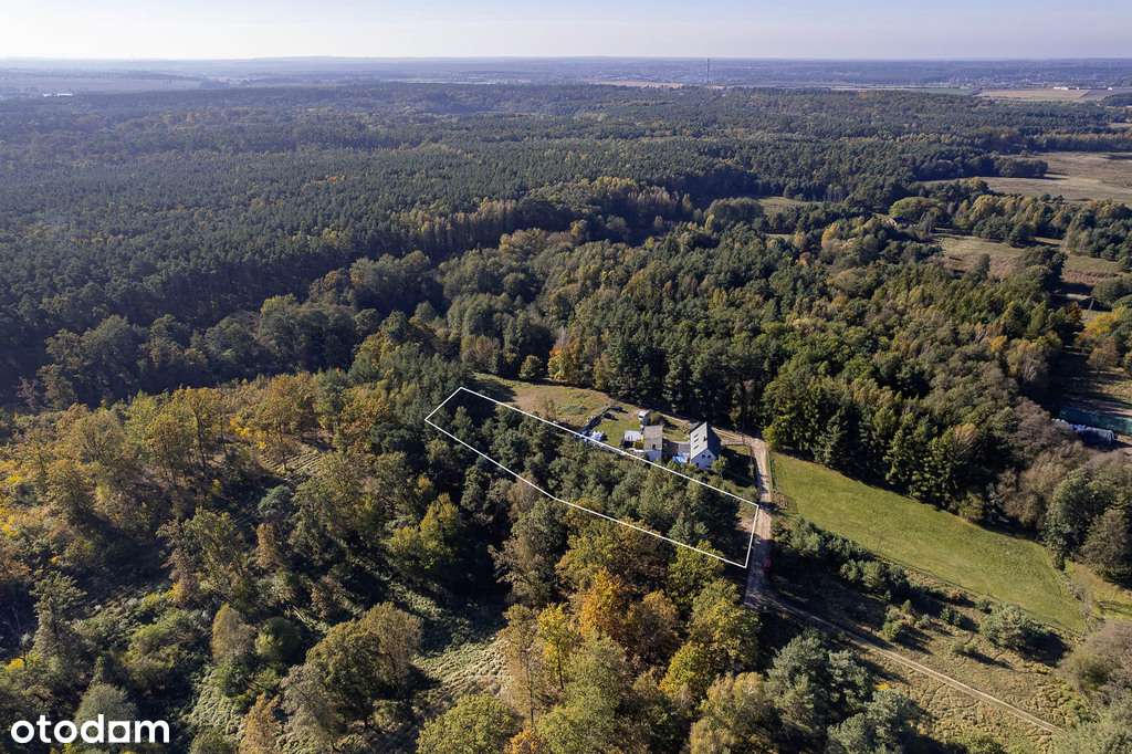 Las na własność, dom na wyłączność!-7