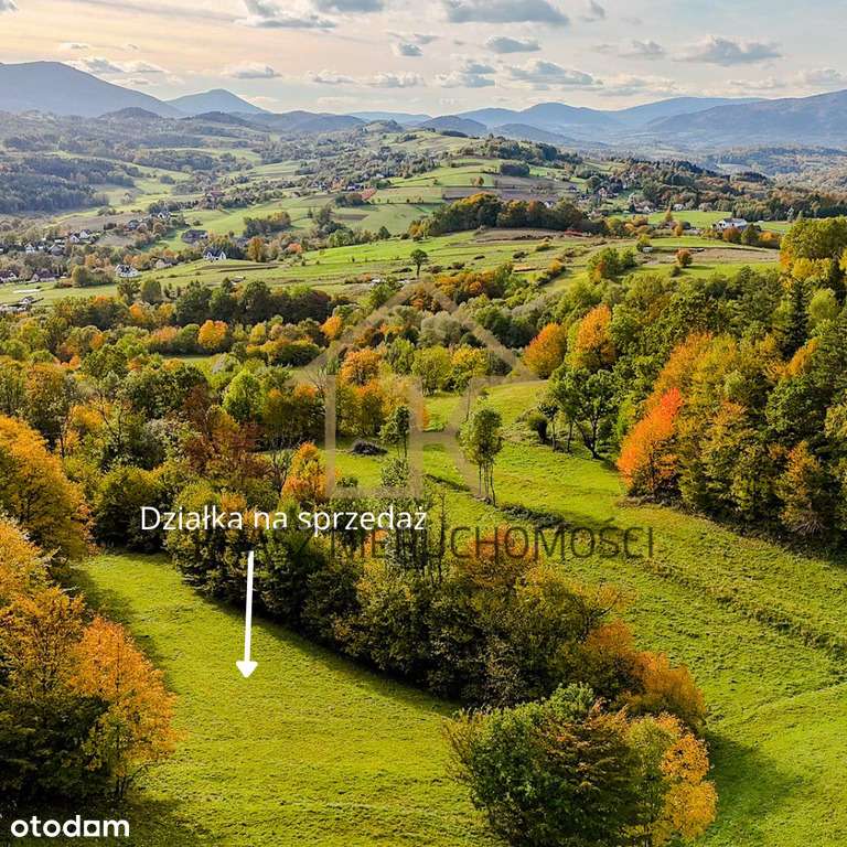 Zaciszna działka rolna w sercu zielonej przyrody - Pełny obrazek: 5/10