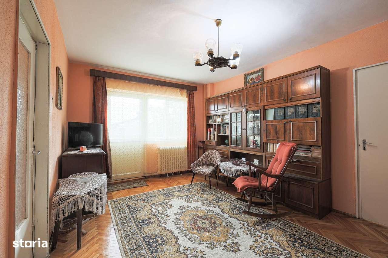 REZERVAT!Vedere directă spre faleza Mureșului, Micalaca 300 - Imagine principală: 4/9