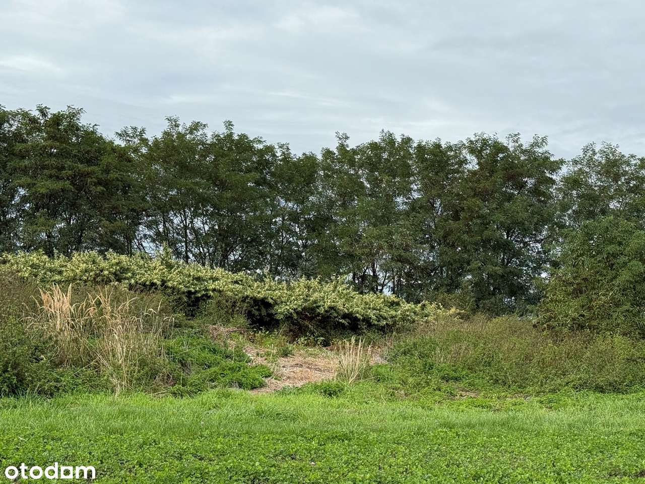 Działka w Starej Jamce-3